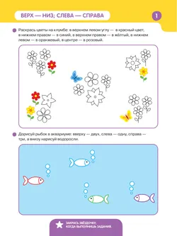 Знакомимся с клеткой 7