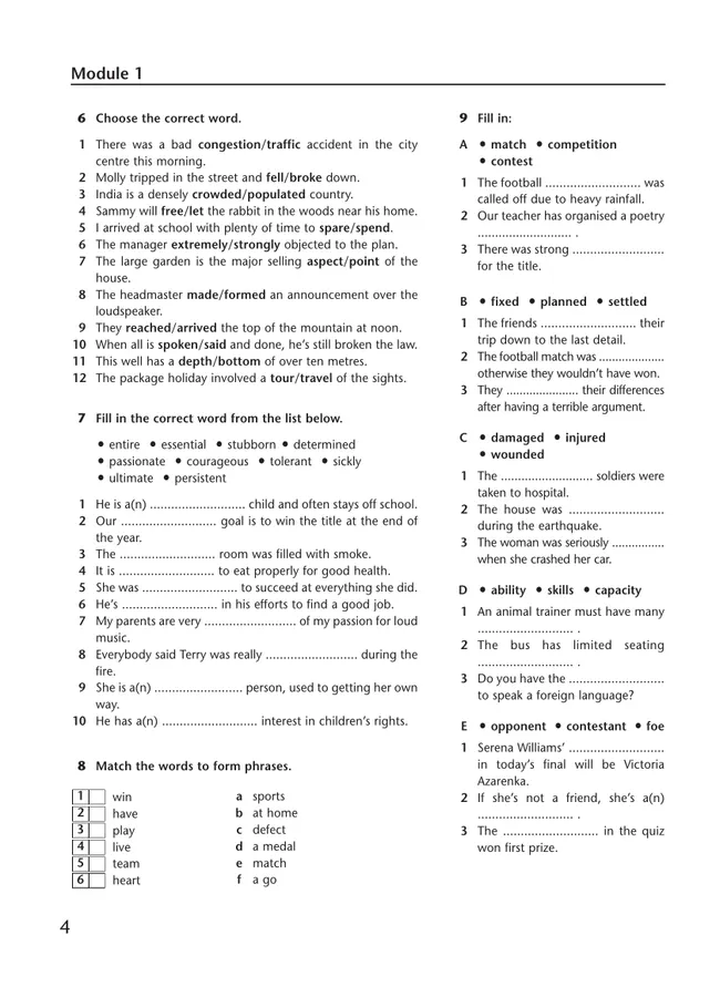 Английский язык. Лексический практикум. 10 класс 33 Английский язык. Лексический практикум. 10 класс 33