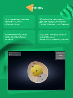 Животный мир. 8 класс (Мультибук, учитель, стартовый) 16