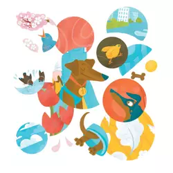 Волшебный нос. 30 историй для первого чтения 8