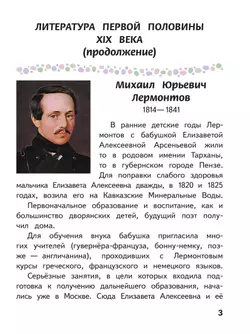 Литература. 6 класс. Учебное пособие. В 6 ч. Часть 3 (для слабовидящих обучающихся) 40