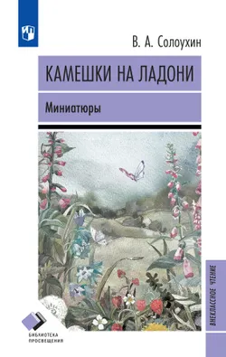 Камешки на ладони. Миниатюры 1