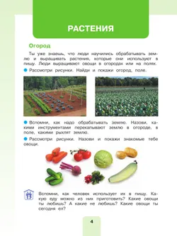 Мир природы и человека. 4 класс. Учебник. В 2 частях. Часть 2 (для обучающихся с интеллектуальными нарушениями) 17
