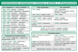 Русский язык в таблицах и схемах. Наглядные пособия 1