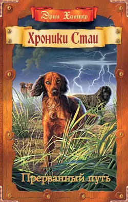 Хроники Стаи. Прерванный путь. 1