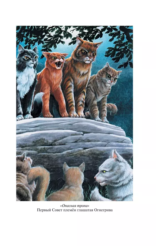 Коты-воители. Золотая коллекция. Опасная тропа. Битва за лес. (новое оформление). Хантер. 3
