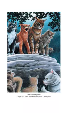 Коты-воители. Золотая коллекция. Опасная тропа. Битва за лес. (новое оформление). Хантер. 3