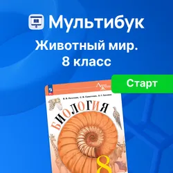 Животный мир. 8 класс (Мультибук, учитель, стартовый) 1