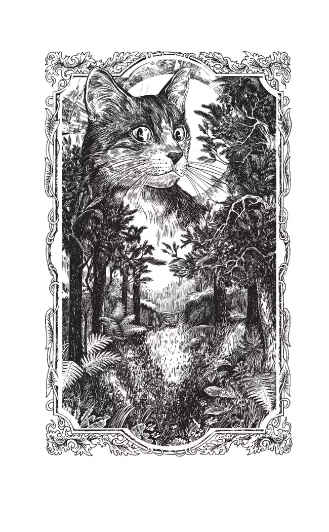 Тень Когтегрива. Видения 1