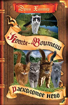 Коты-воители. Цикл "Видение теней". Расколотое небо. Хантер. 1