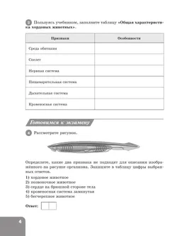 Биология. 8 класс. Углублённый уровень Рабочая тетрадь. В 2-х частях. Ч. 2 11