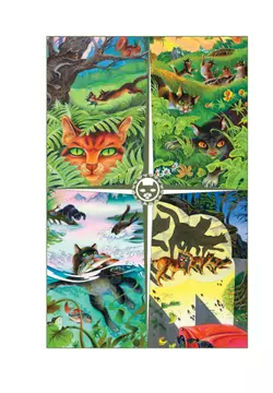 Подарок. Герои племен. 14