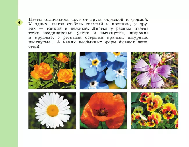 Рабочий альбом по изобразительному искусству. 2 класс 13