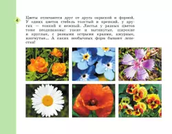 Рабочий альбом по изобразительному искусству. 2 класс 13