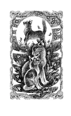 Цикл "Начало племен". Юность Грома. 1