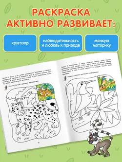 Джунгли. Познавательная раскраска. 4+ 43