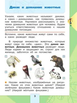 Окружающий мир. Первый год обучения. В трёх частях. Часть 2 13