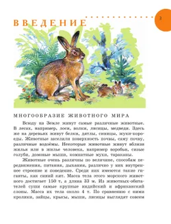 Биология. Животные. 8 класс. Учебник (для обучающихся с интеллектуальными нарушениями) 6