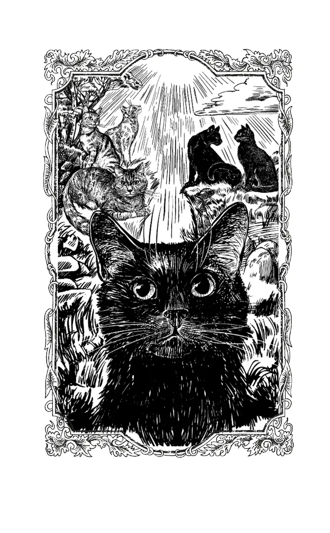 Коты воители. Испытание Грача. Прощение 22