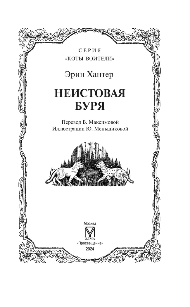 Неистовая буря (цикл "Видение теней") 14