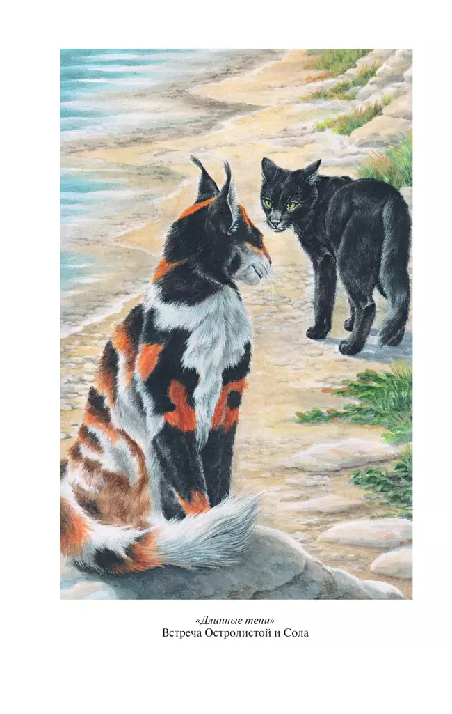 Коты-воители. Золотая коллекция. Длинные тени. Восход солнца. Хантер 10