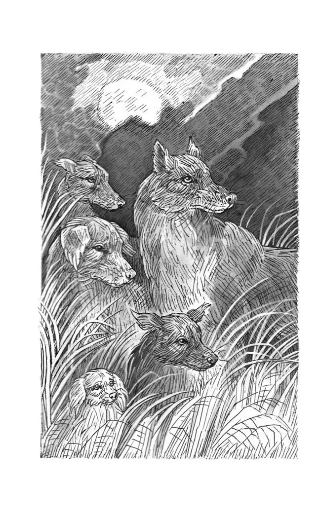 Тьма наступает. 13