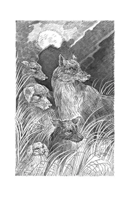 Тьма наступает. 13