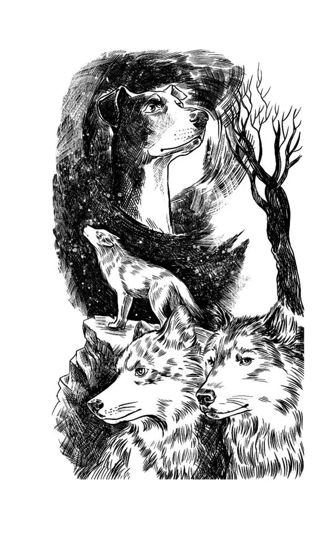 Хроники Стаи. Путь изгнанницы 25