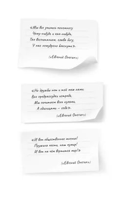 Евгений Онегин. Роман в стихах 2