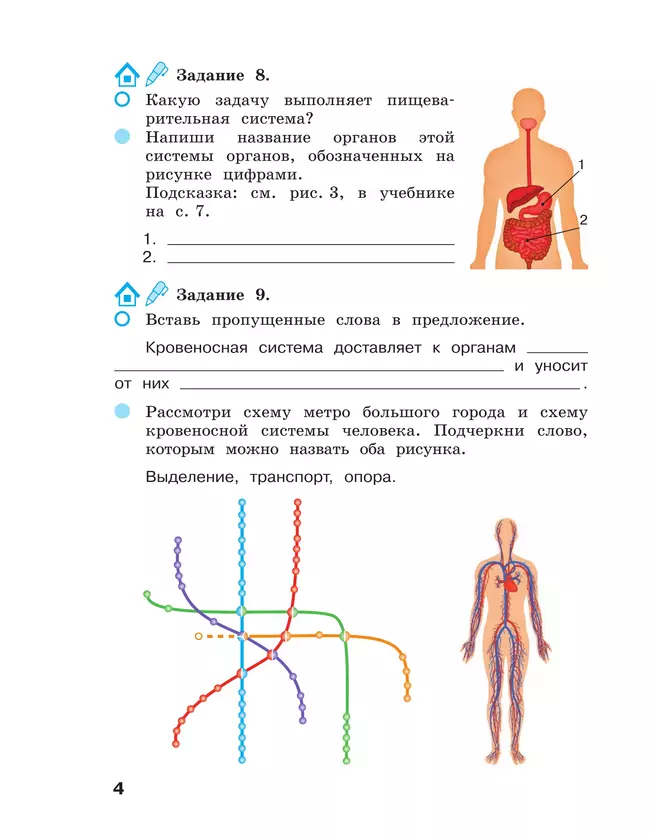 Окружающий мир. 3 класс Рабочая тетрадь. В 2 частях. Часть 2 2