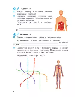 Окружающий мир. 3 класс Рабочая тетрадь. В 2 частях. Часть 2 2