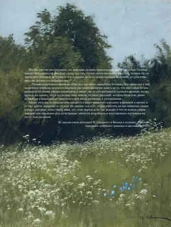 Русский травник 47