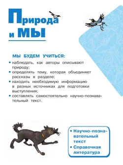 Литературное чтение. 4 класс. Учебное пособие. В 4 ч. Часть 4 (для слабовидящих обучающихся) 23