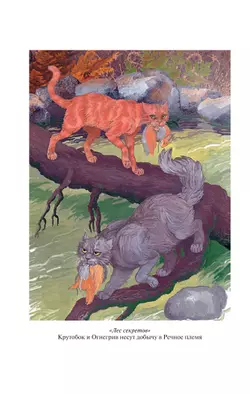 Коты-воители. Золотая коллекция. Лес секретов. Бушующая стихия. (новое оформление). 18