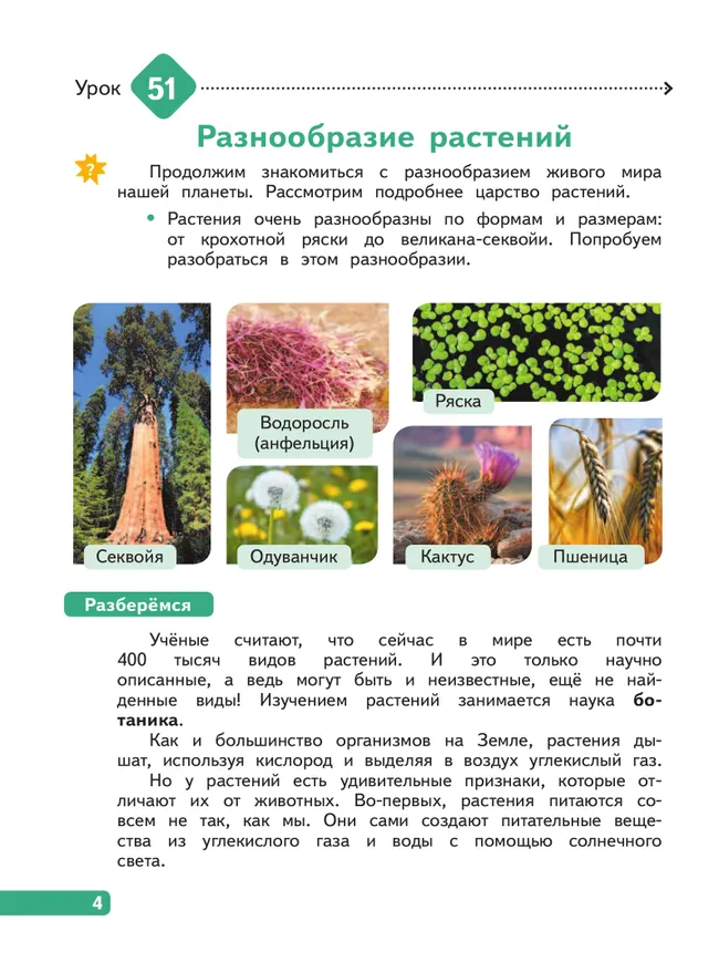Окружающий мир. 3 класс. В 4-х частях. Часть 4 42