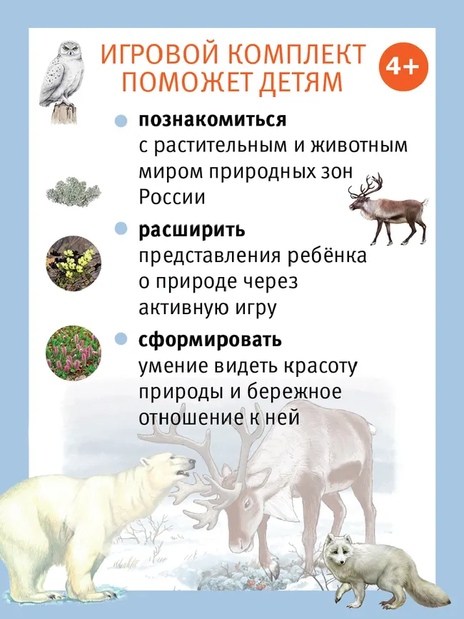 Путешествие по России утки Руси. Настольная игра 9