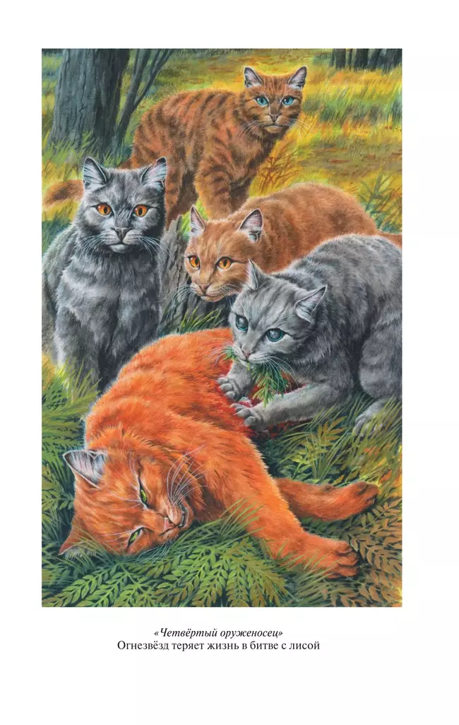 Коты воители. Золотая коллекция. Четвертый оруженосец. Долгое эхо 25 Коты воители. Золотая коллекция. Четвертый оруженосец. Долгое эхо 25