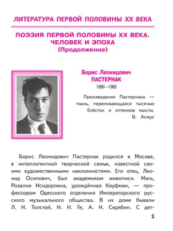 Литература. 8 класс. Учебное пособие. В 7 ч. Часть 5 (для слабовидящих обучающихся) 6