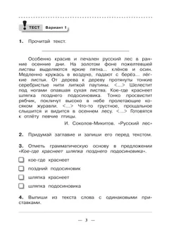 Русский язык. 4 класс. Тетрадь для контрольных работ 11