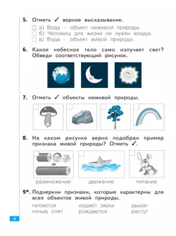Окружающий мир. Тематический и итоговый контроль. Рабочая тетрадь. 1 класс 10