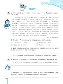 Пишу без ошибок. Русский язык. 4 класс. 5