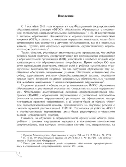 Дети с интеллектуальными нарушениями 8