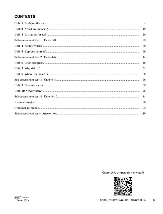 Английский язык. Рабочая тетрадь. 11 класс. Базовый уровень 17