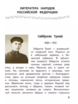 Литература. 6 класс. Учебное пособие. В 6 ч. Часть 6 (для слабовидящих обучающихся) 3