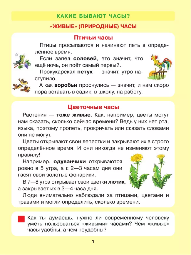 Который час? Математика для детей 5-7 лет 18 Который час? Математика для детей 5-7 лет 18
