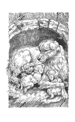 Пустой город. 13