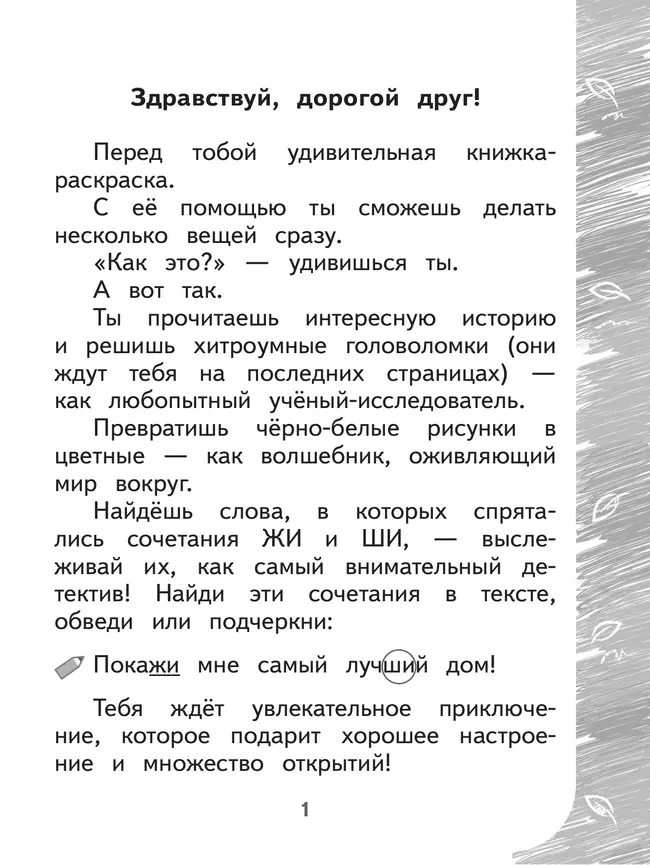 Раскрашиваю и учусь! Пушистик и лесные жители 7+ 30