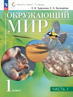 Окружающий мир. 1 класс. Учебное пособие. В двух частях. Часть 1 1