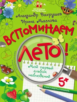 Вспоминаем лето! Учимся видеть и понимать (с наклейками) 1