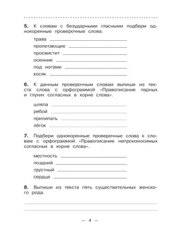 Русский язык. 4 класс. Тетрадь для контрольных работ 13